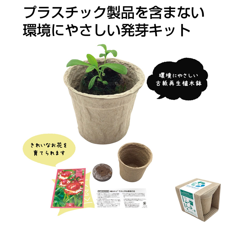 ECOポット 花の種