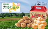モシモニソナエル